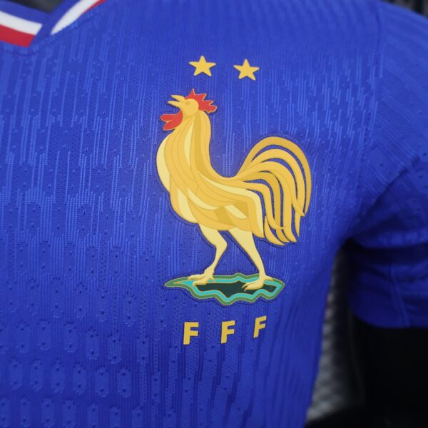 Shop frenace Home 2024 euro jersey online in india