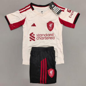 Liverpool Away jersey in India